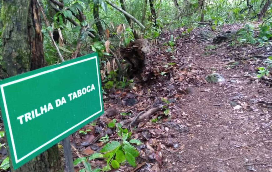 Trilha da Taboca