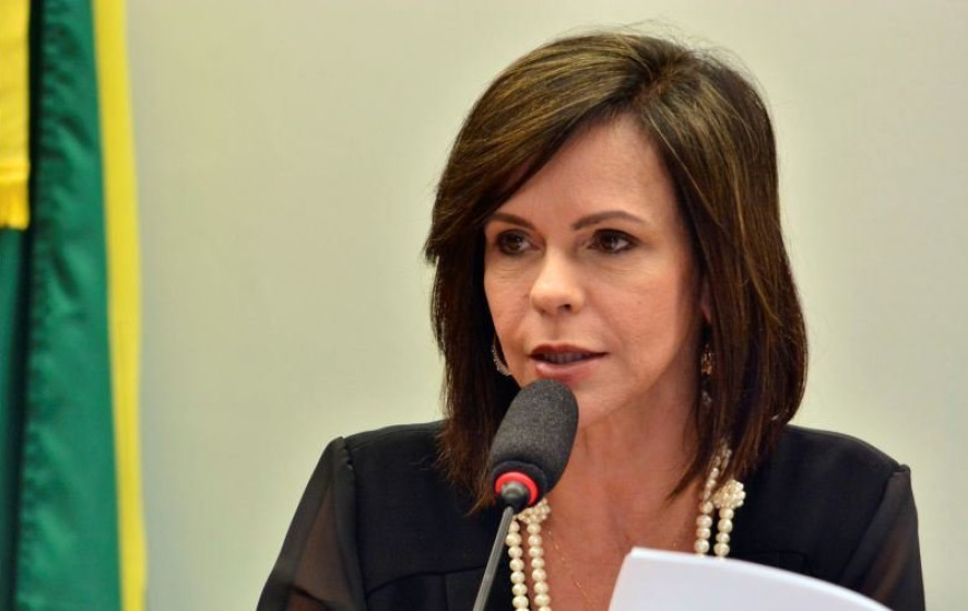 Deputada federal Profª Dorinha