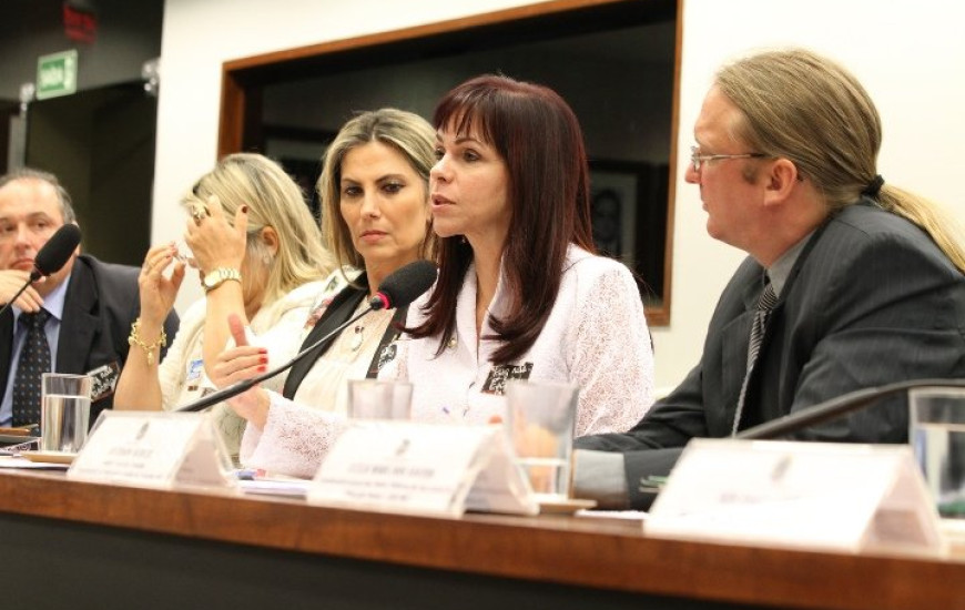 Dorinha em audiência do ECA