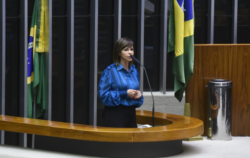 Deputada federal Professora Dorinha (DEM/TO)