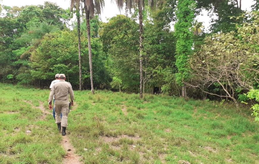 Bombeiros militares nas buscas em Babaçulândia