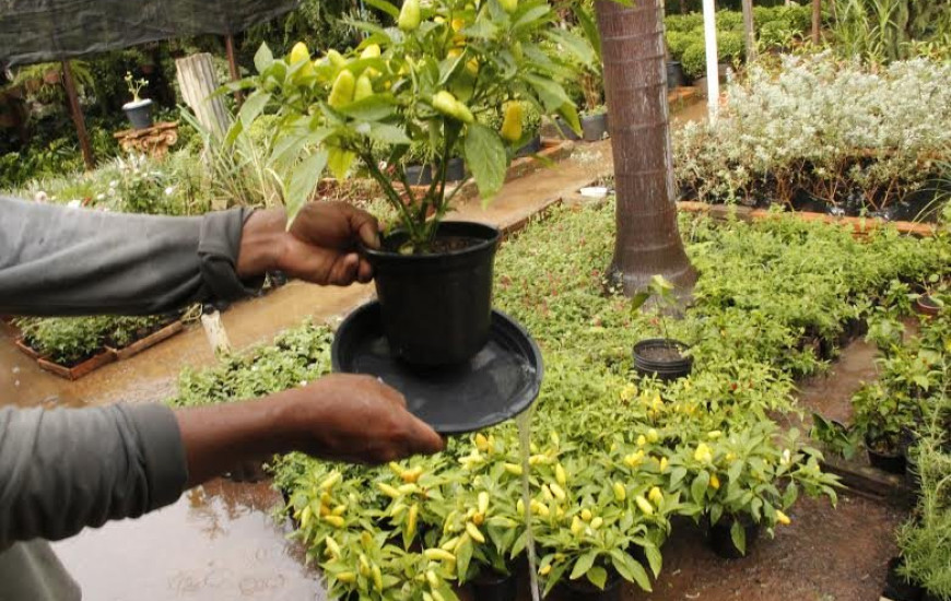 População deve continuar tomando os cuidados