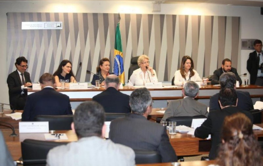 Ministra participa de audiência no Senado
