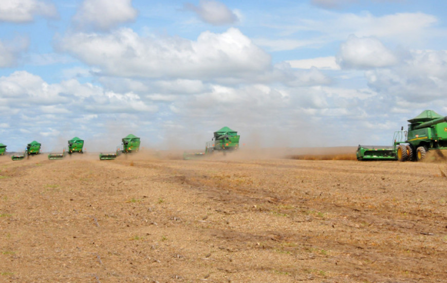 Soja foi um dos produtos com melhores resultados no VBP
