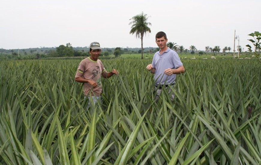 Agricultura familiar ganha destaque