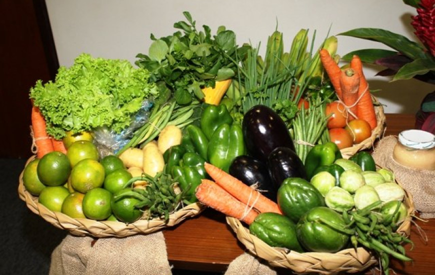 Alimentos de qualidade adquiridos através do PAA