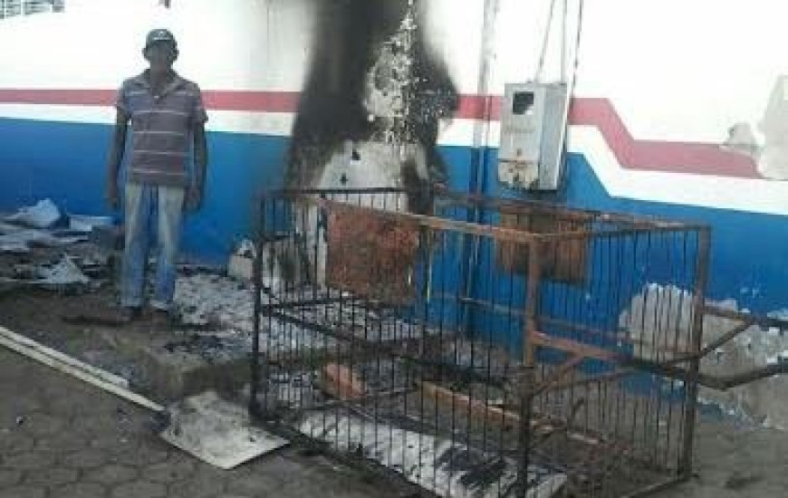 Seo Cláudio da reciclagem