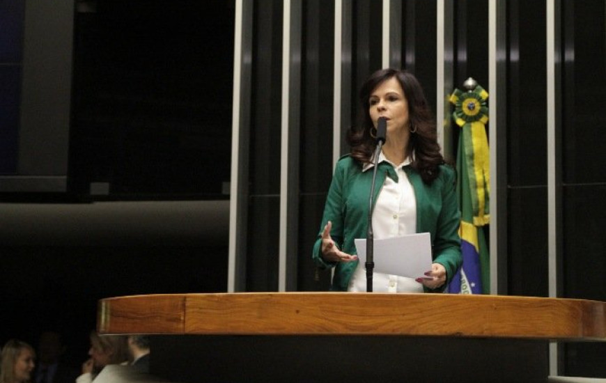 Deputada Profª Dorinha