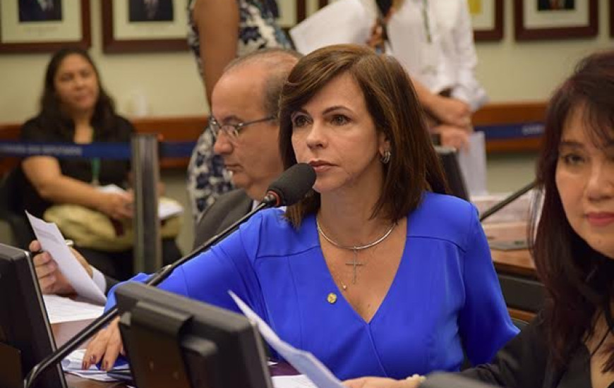 Dorinha realiza audiência pública