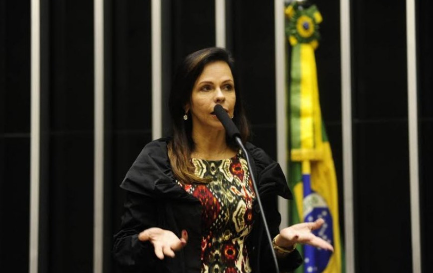 Deputada federal Profª Dorinha