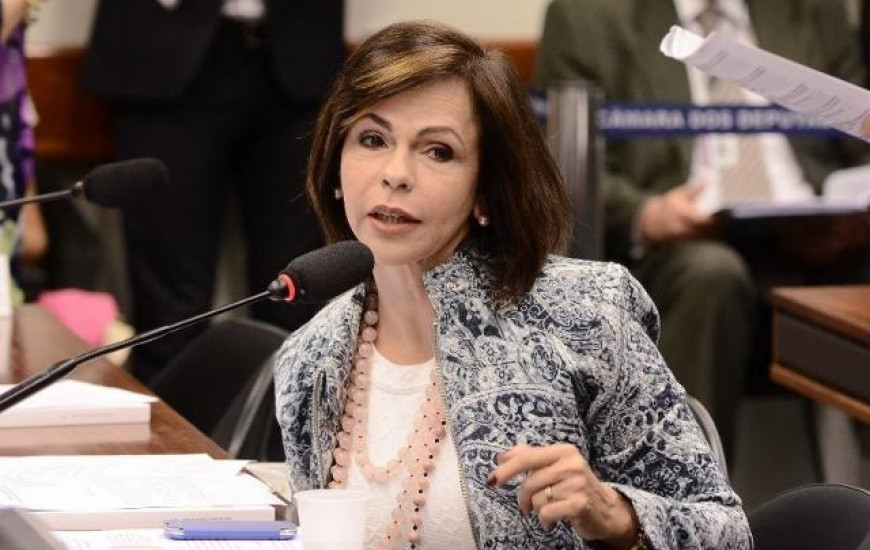 Deputada Professora Dorinha