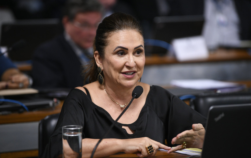 Senadora Kátia Abreu (PP-TO).