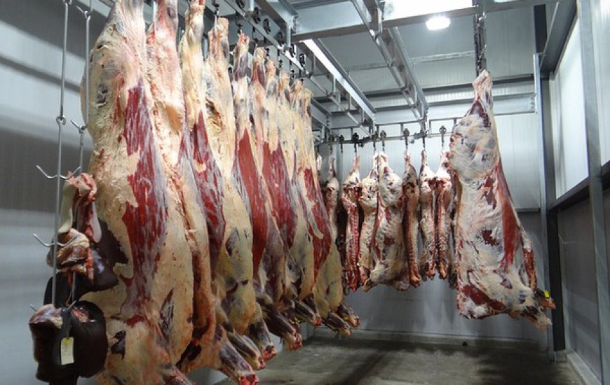 MPE quer evitar abate clandestino de animais