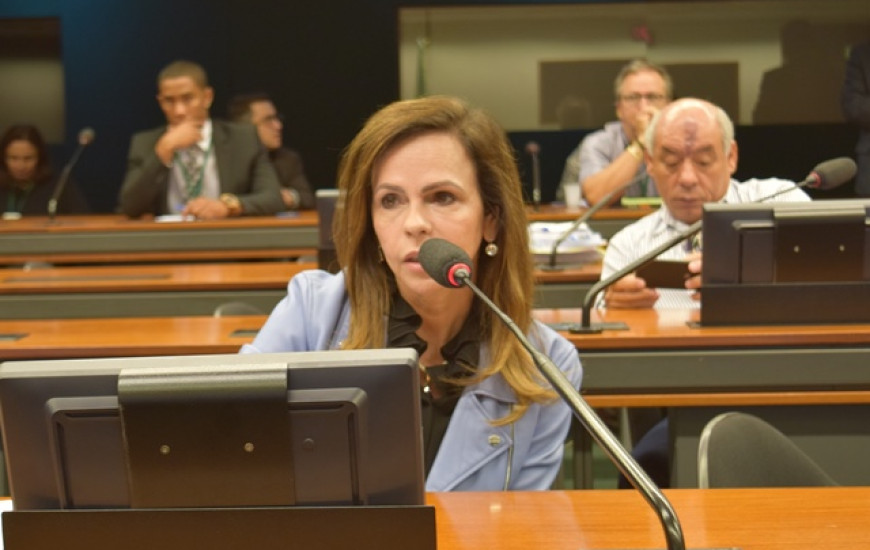 Deputada Dorinha acompanha retomada do Luz para Todos