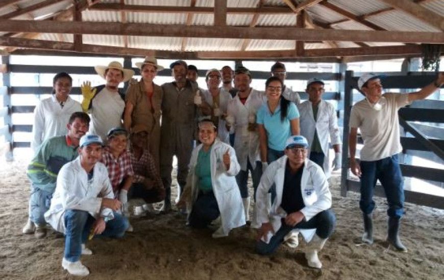 Profissionais são capacitados