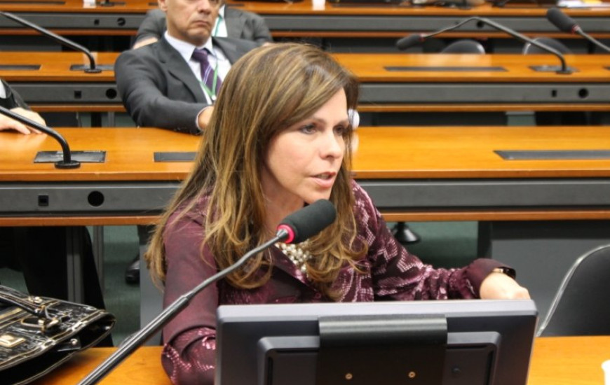 Deputada Dorinha Seabra