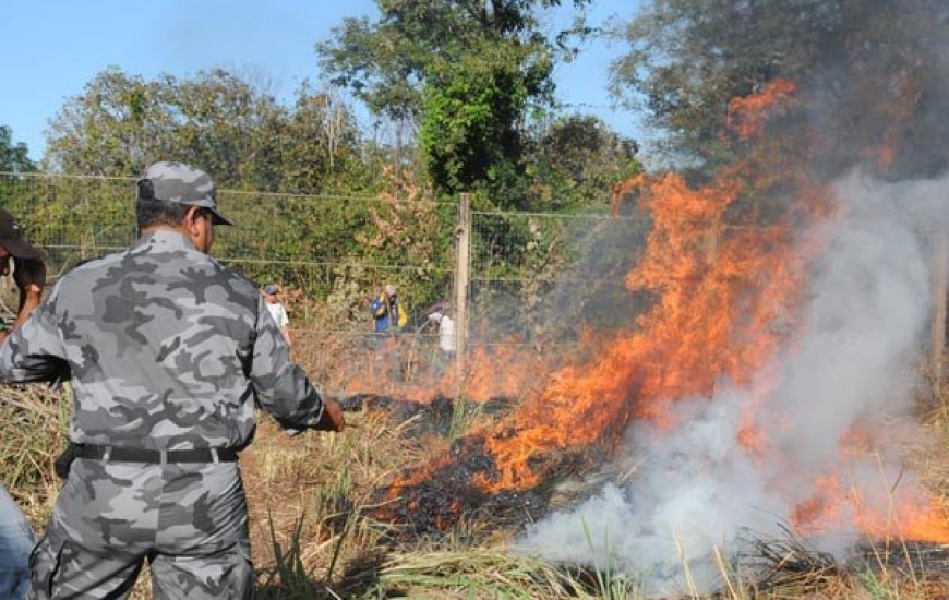 Focos de incêndio aumentam no TO