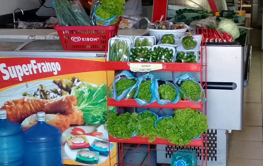 Hortaliças são 100% orgânicas e cultivadas no Case Palmas