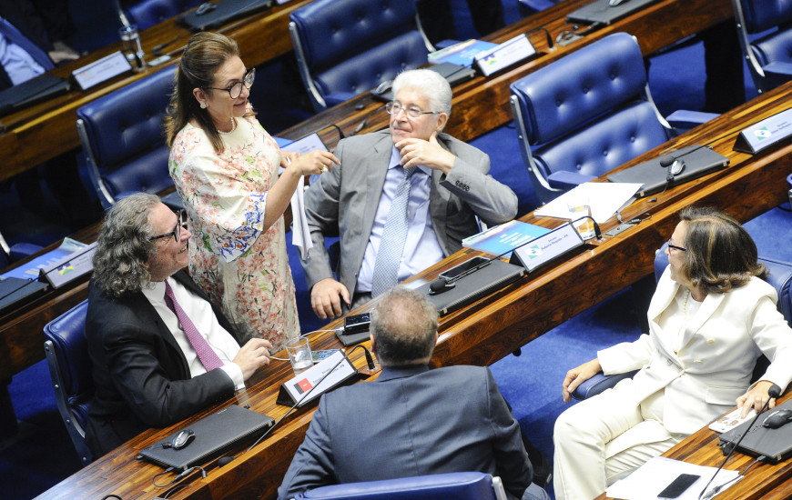 Senadora foi relatora na Comissão de Assuntos Econômicos
