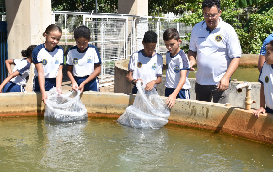 A comercialização de tilápias terá o valor fixado em R$ 15 o quilo