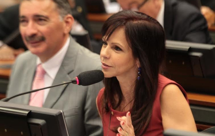 Deputada federal Profª Dorinha