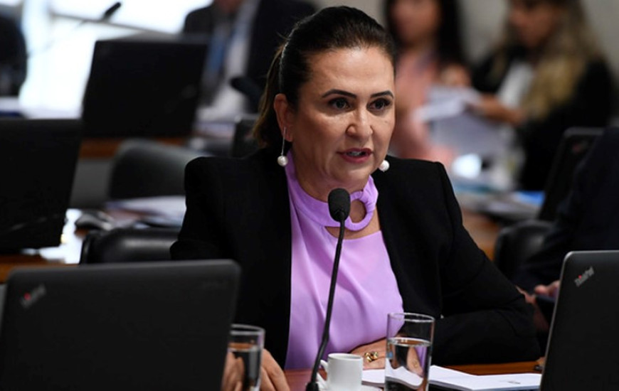 Kátia Abreu no Senado Federal