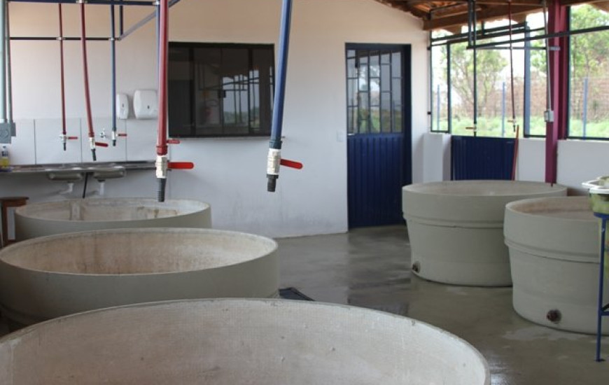 Entregas fazem parte da SNCT