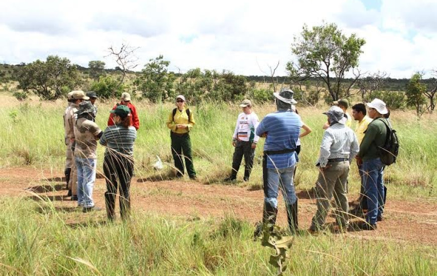 Curso para treinar brigadistas