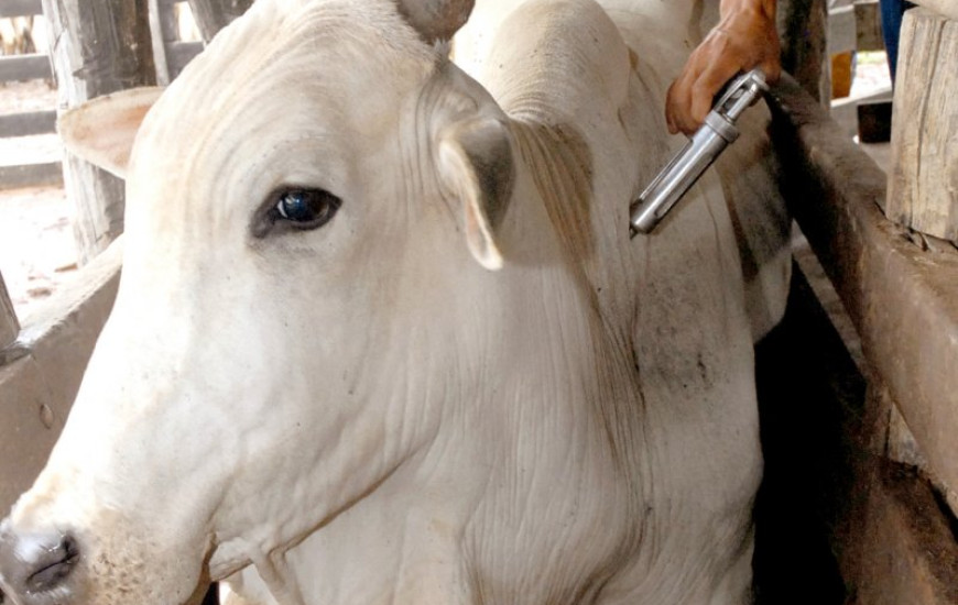 Campanha termina nesta 6ª