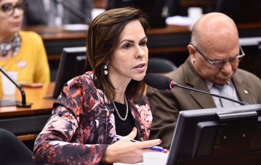 Deputada Professora Dorinha