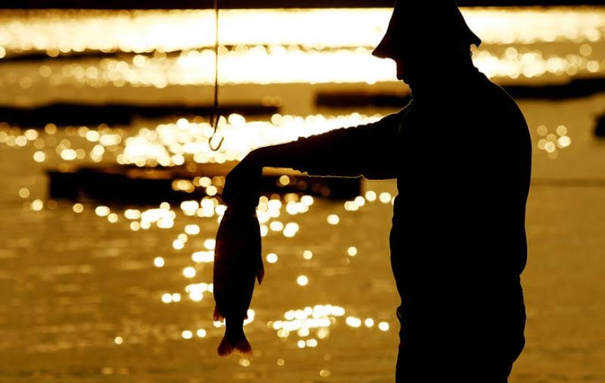 TO produzirá 25 mil toneladas de peixe este ano