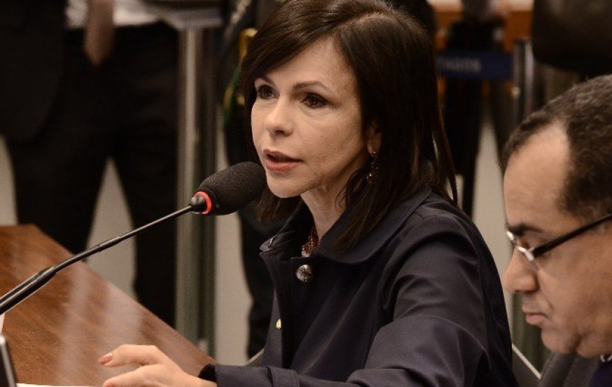 PL de Dorinha foi aprovado pela CCJC