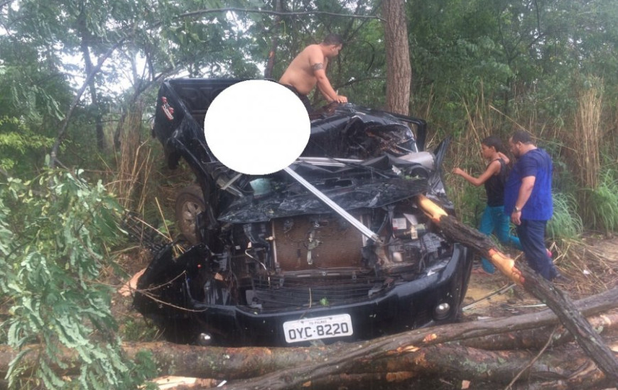 Caminhonete em que Freitas estava bateu em árvore