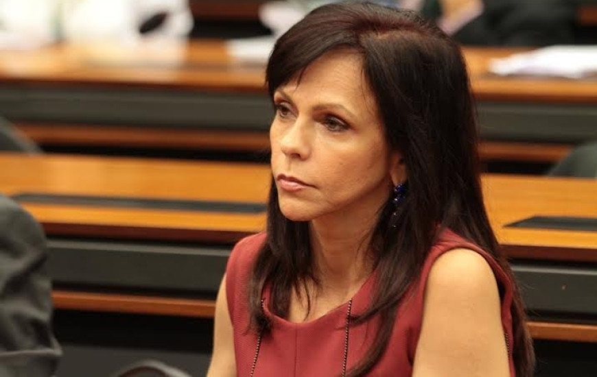 Deputada Profª Dorinha