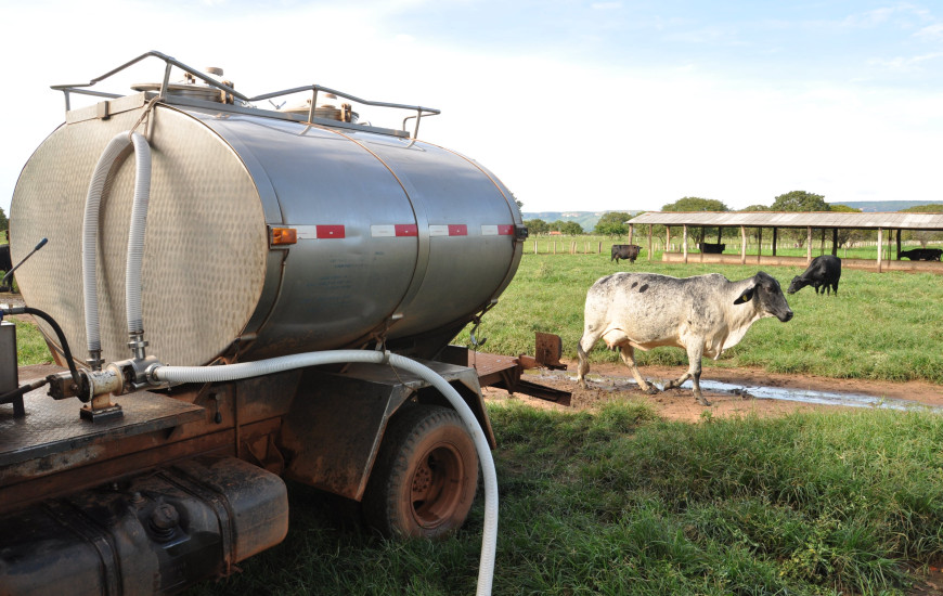Curso de inseminação artificial é oferecido pela Seagro