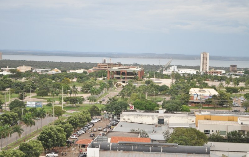 Palmas