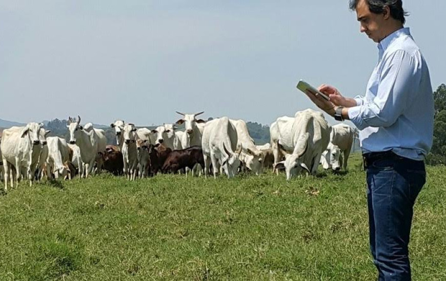 Cursos são gratuitos e à distância