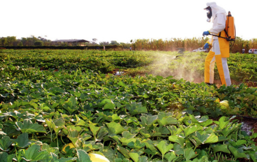 A aplicação de agrotóxicos tem novas regras para assegurar ainda mais a saúde.