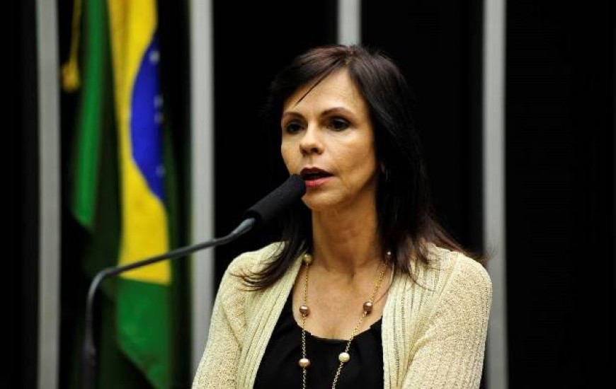 Professora Dorinha, deputada federal