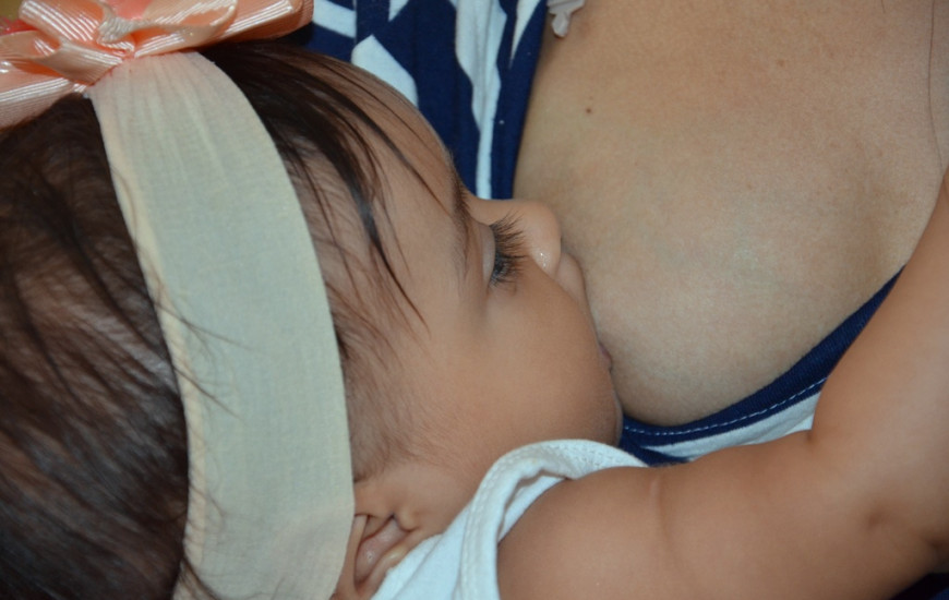 Coleta e a estocagem são feitas em bancos de leite.