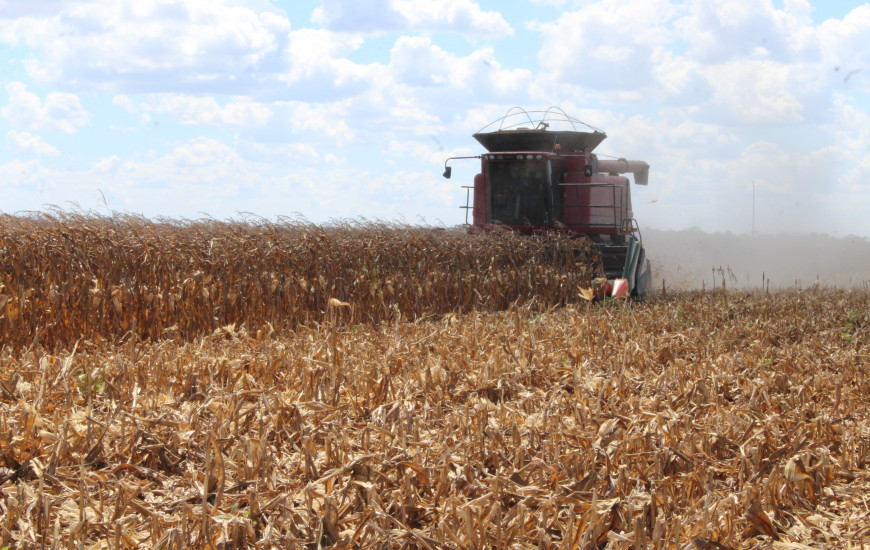 Volume que representa um crescimento de 99,79%.