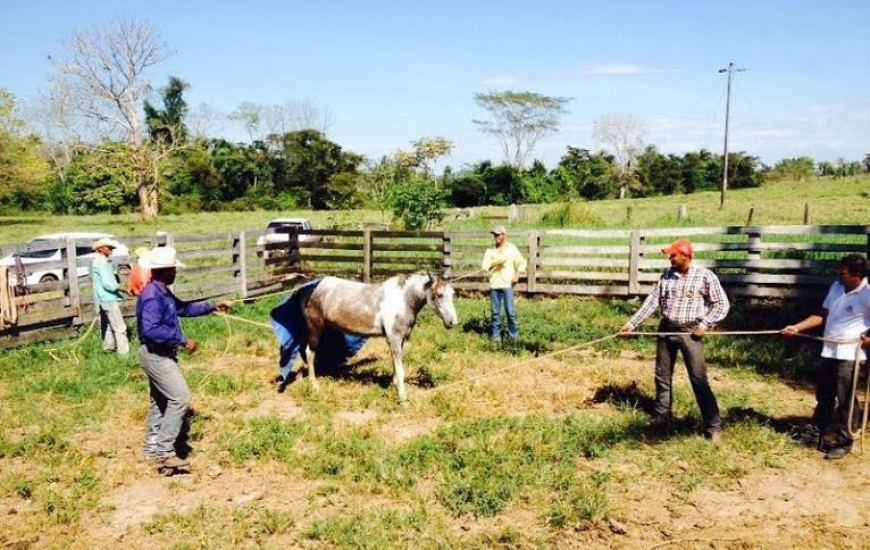 Curso é feito em Araguanã