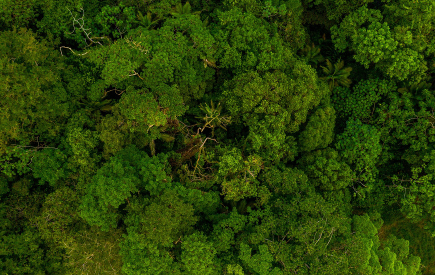 Prêmios reconhecem iniciativas relacionadas à região amazônica