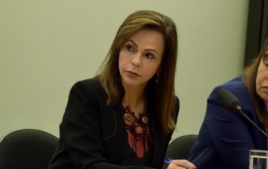 Dorinha garante empenho de R$ 248.183,54