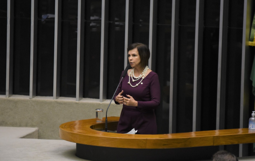 Deputada federal Professora Dorinha (DEM/TO)