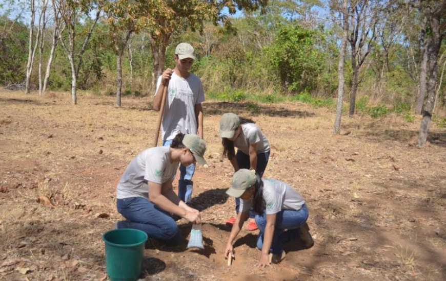Alunos participam de aula prática