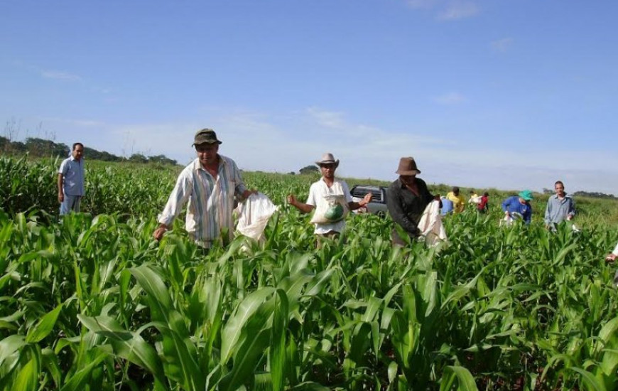 Produtor rural tem até 22 de maio para pagar