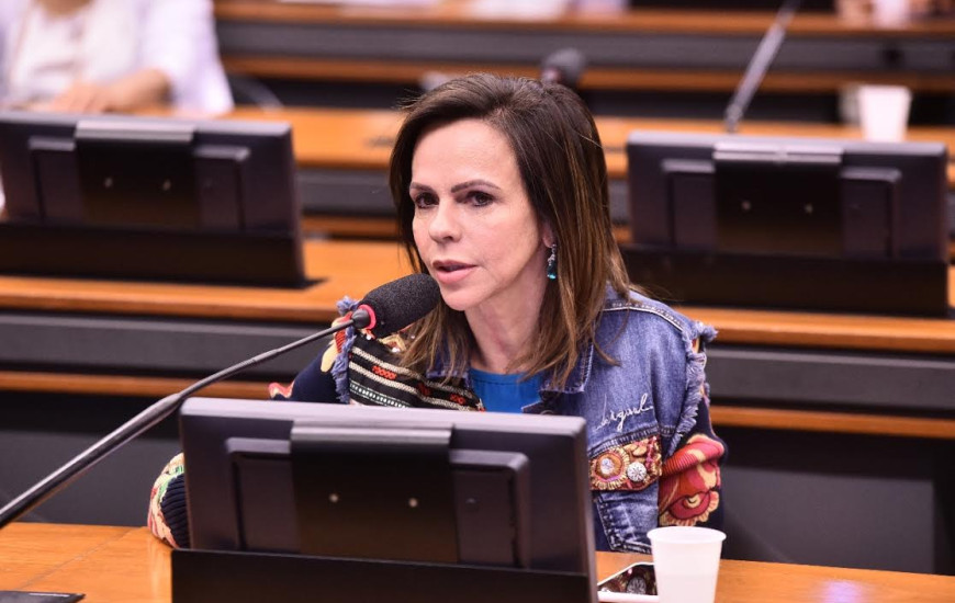 Deputada federal Professora Dorinha