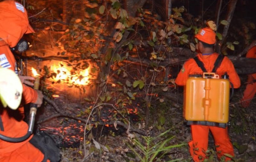 Equipes da Defesa Civil em operação na Capital