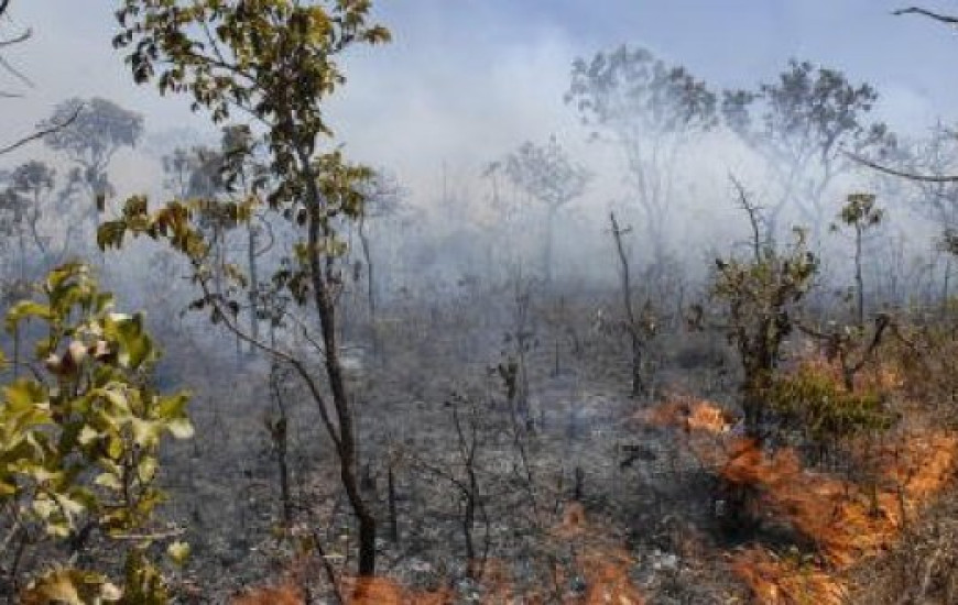 Queimadas aumentam nessa época do ano